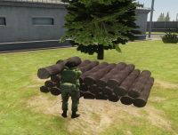 Brv3.jpg