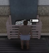 Brv4.jpg