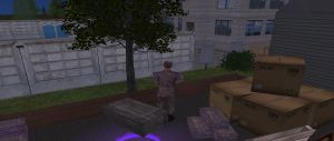 Vb11.jpg